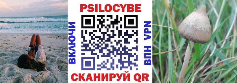 наркотики  Абакан  Псилоцибиновые грибы Psilocybine cubensis 